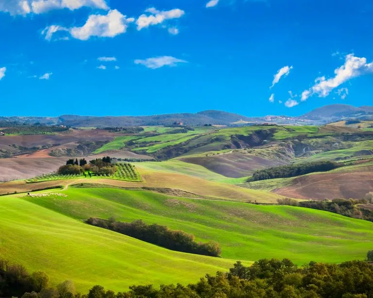 Tuscan Countryside View