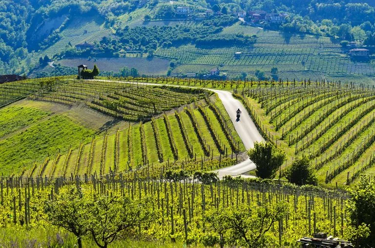 The Langhe by bike: Alba Monforte and Serralunga, through castles and vineyards