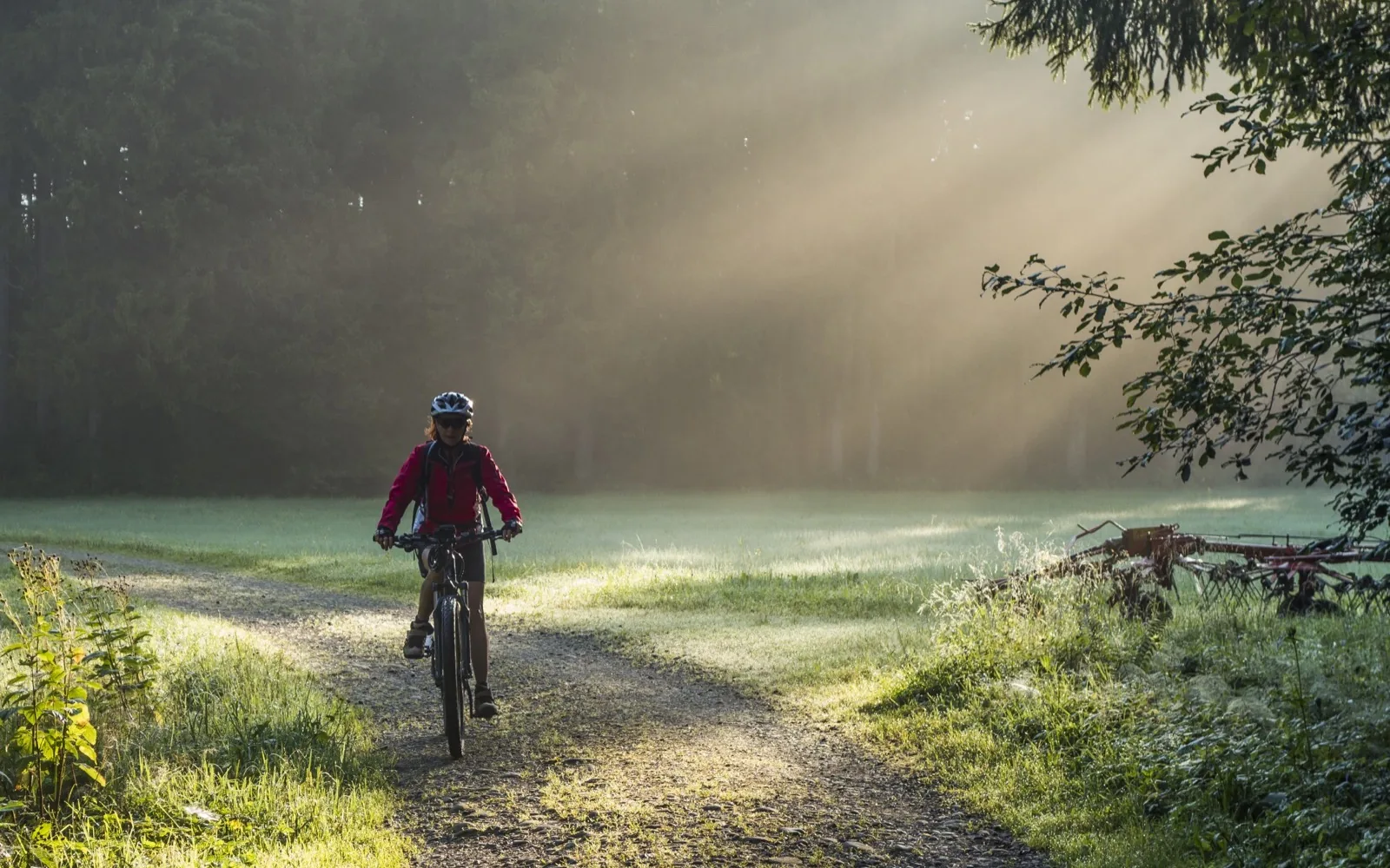 Acquapartita ebike tour