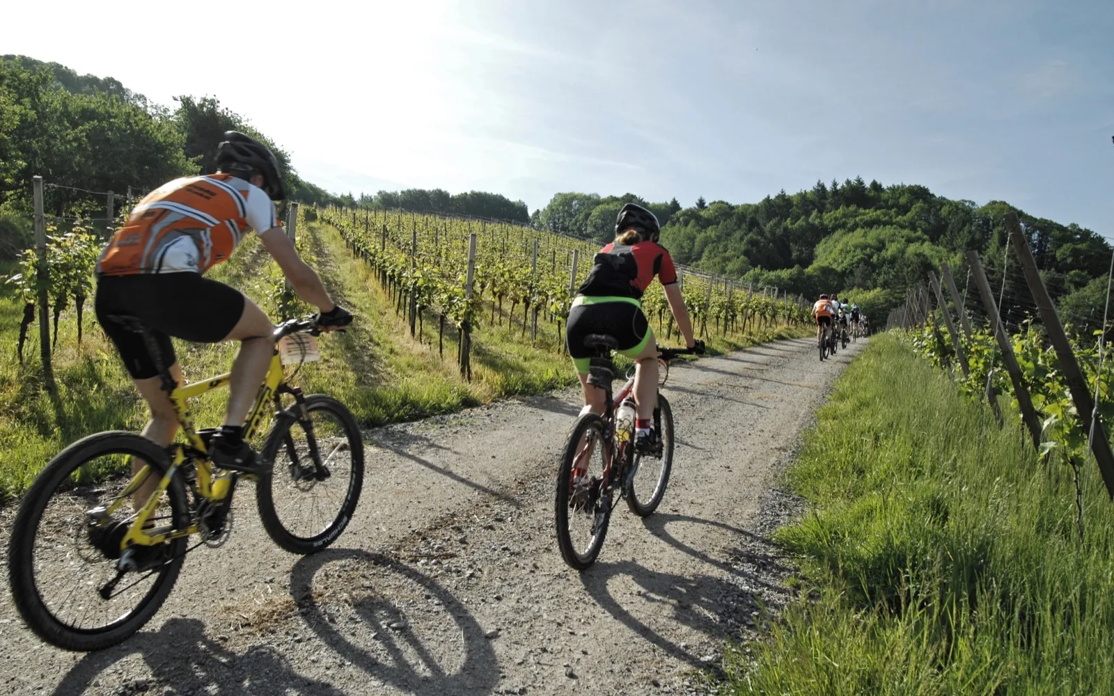Leopoldo Palace ebike route