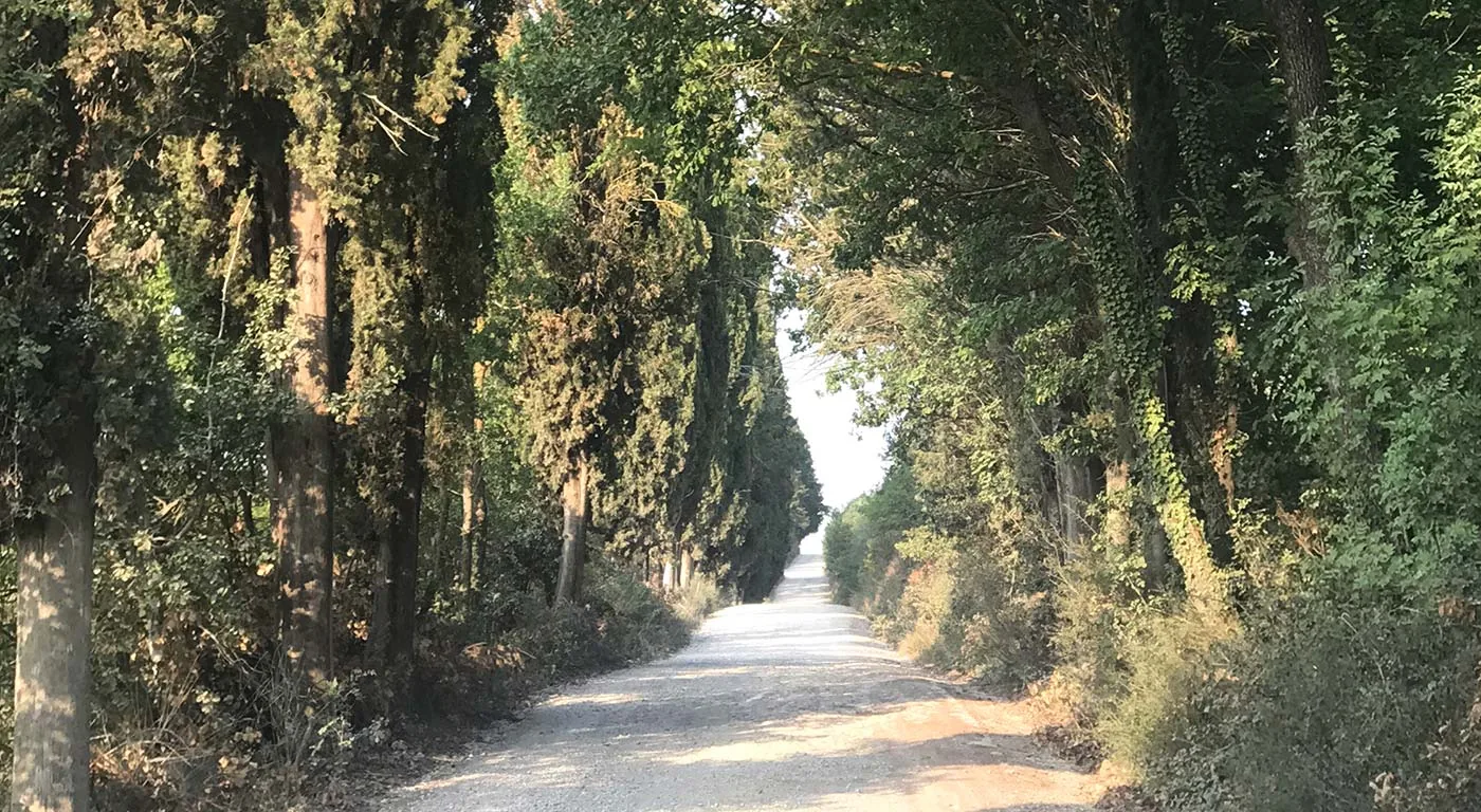 Mountain Bike Itinerary Borgo Pignano