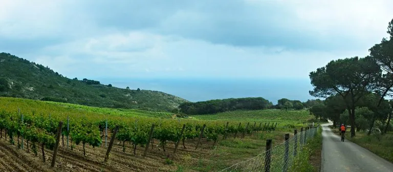Cycling in Elba: 4 recommended routes