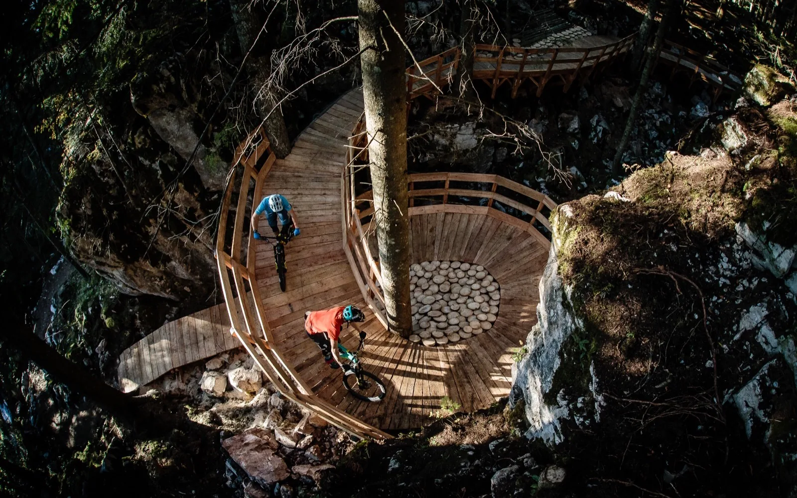 Willy Wonka Trail