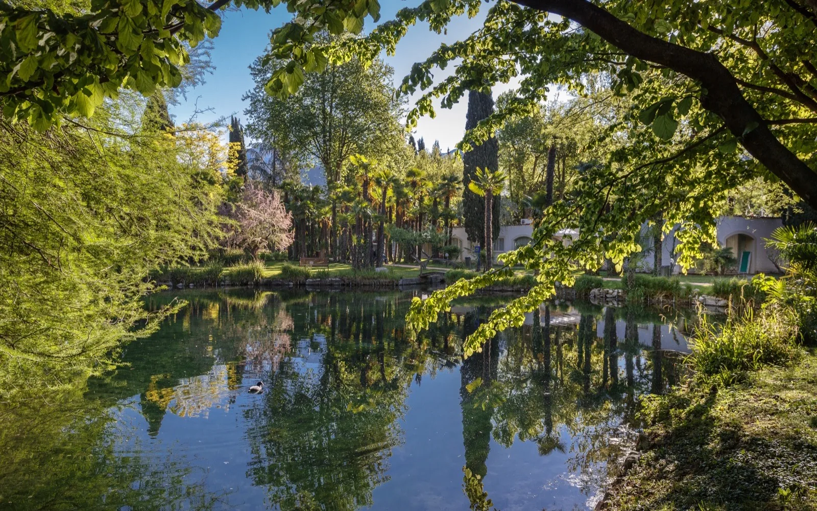 du lac et du parc specchio d'acqua