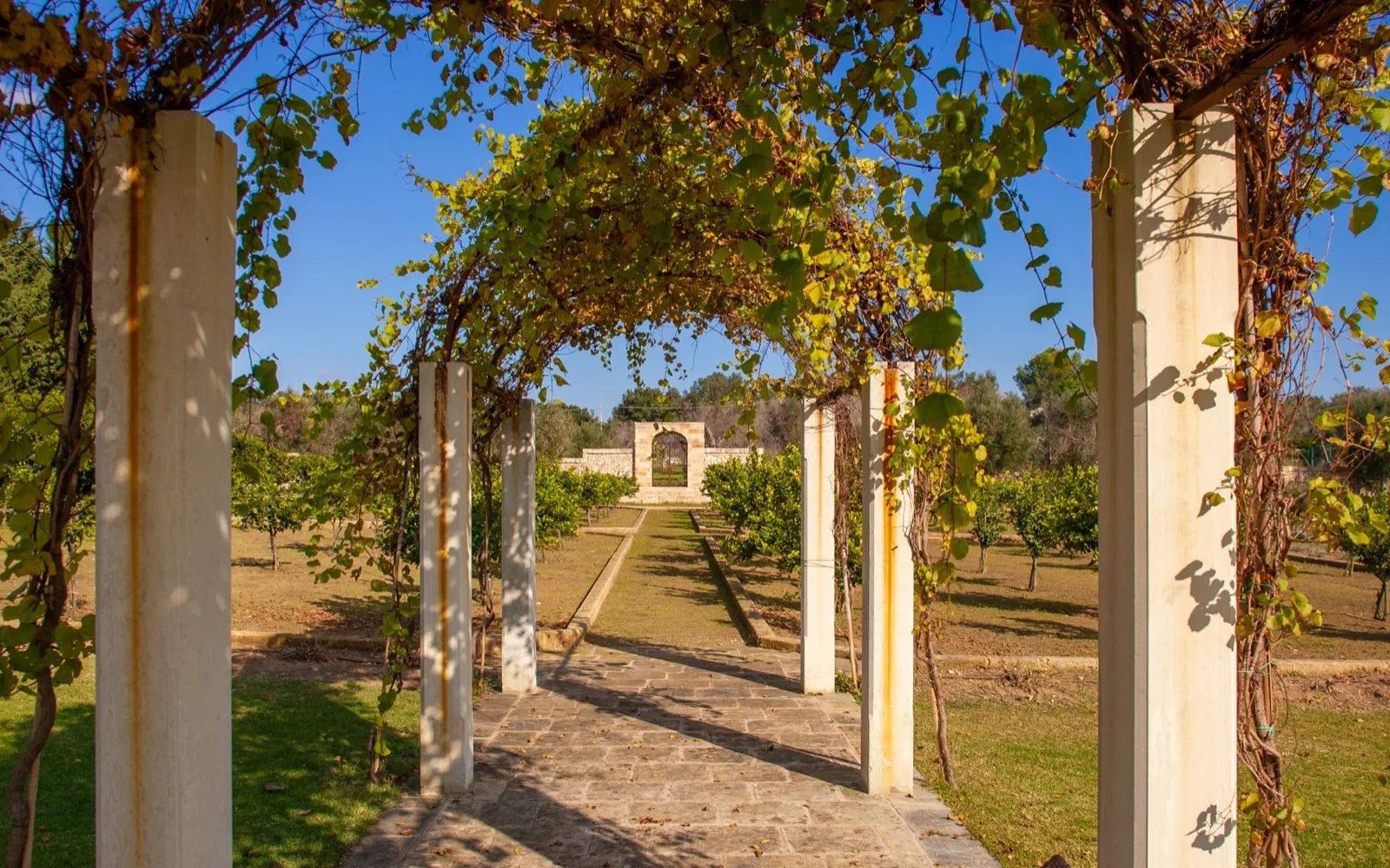 Naturalis Bio Resort orangerie