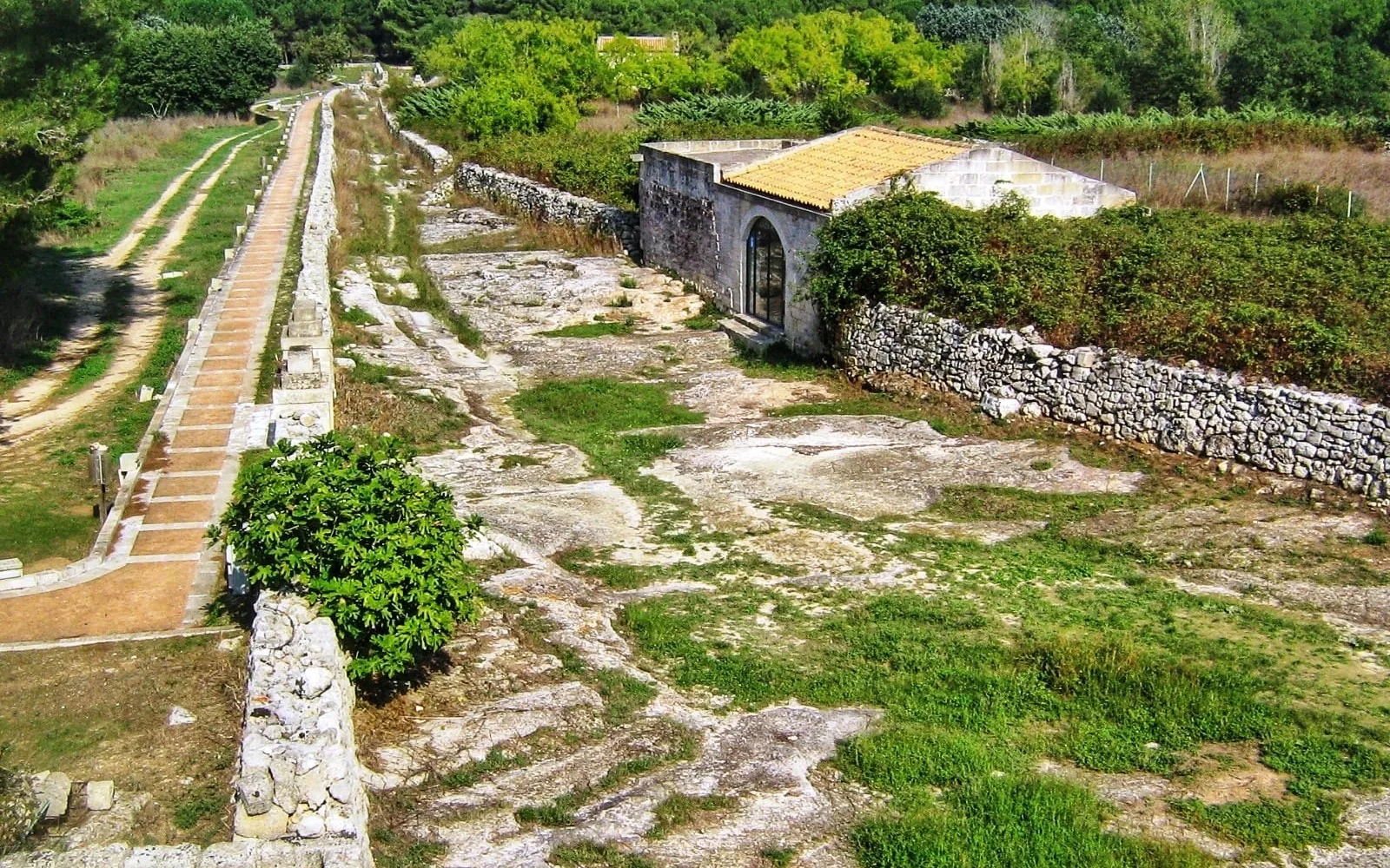 Masseria Torcito Tour