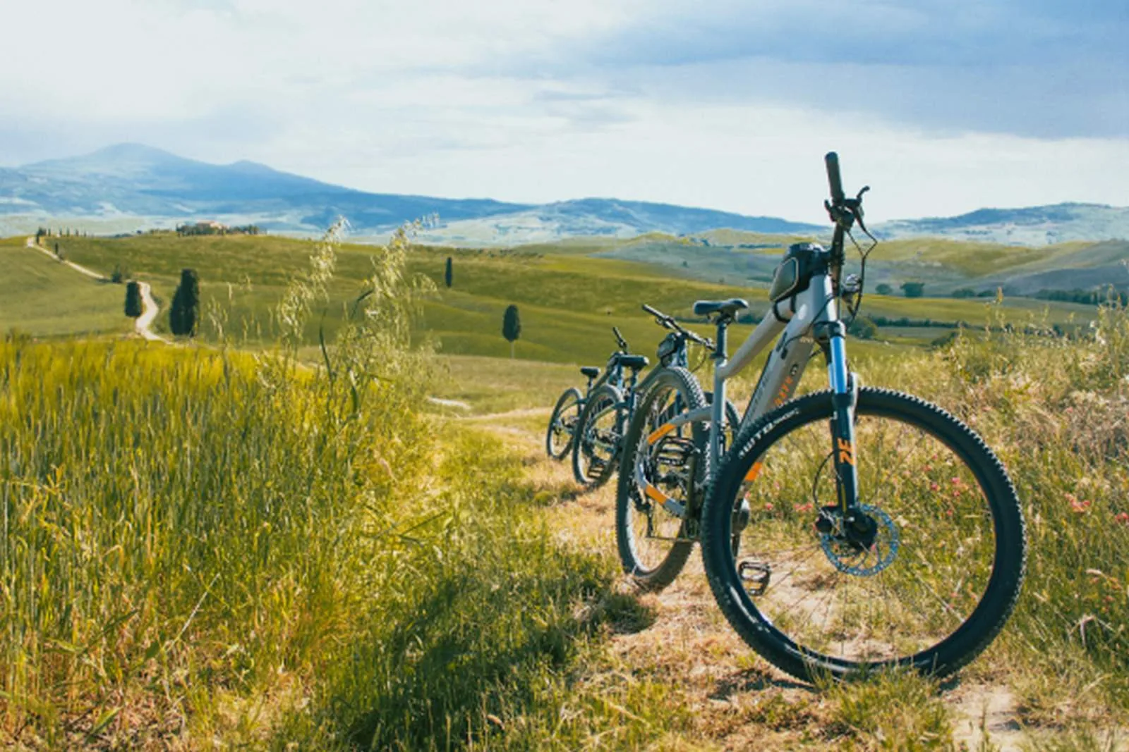 Between Val d’Orcia e Crete Senesi